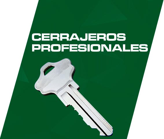 Logo de cerrajeros Águilas profesionales